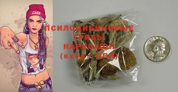 стафф Гусь-Хрустальный