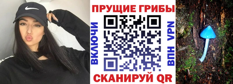 Галлюциногенные грибы Magic Shrooms  Долинск 